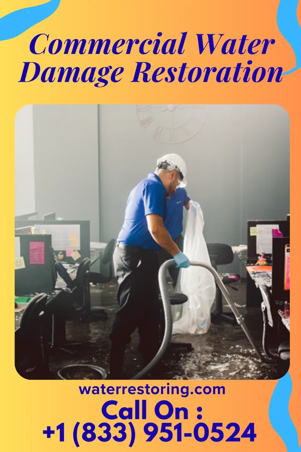 Commercial Water Damage Restoration in Higginsport, OH