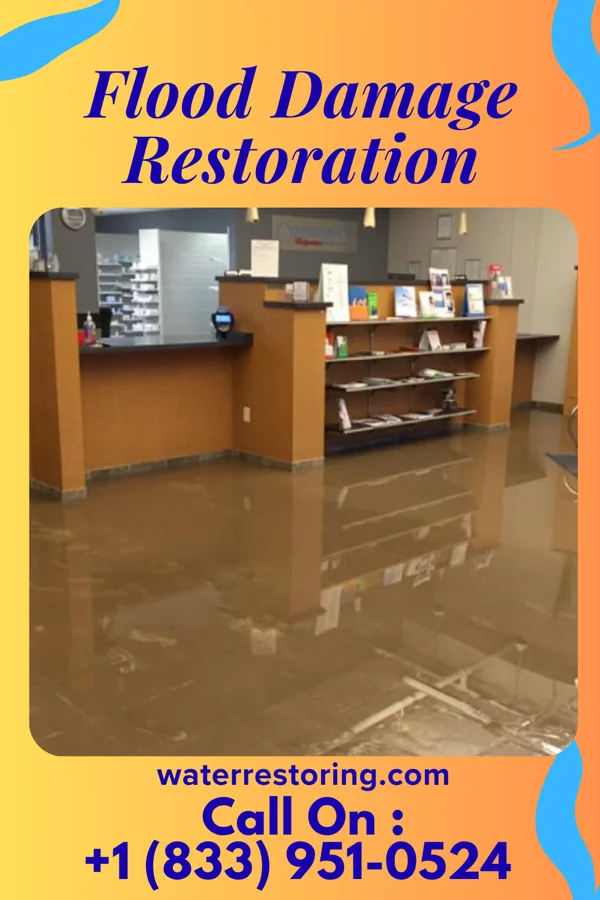 Flood Damage Restoration in Higginsport, OH