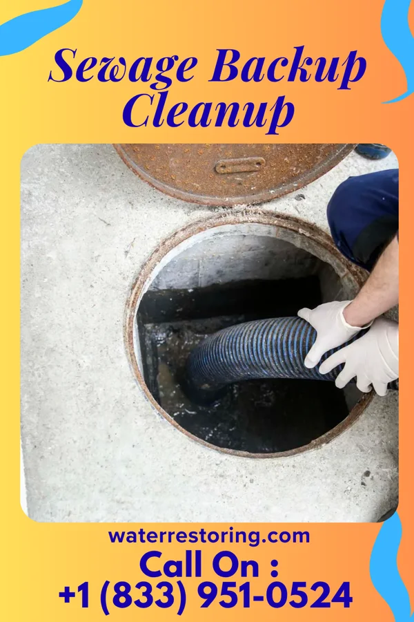 Sewage Backup Cleanup in Higginsport, OH