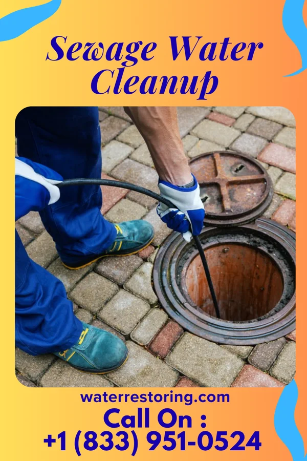 Sewage Water Cleanup in Higginsport, OH